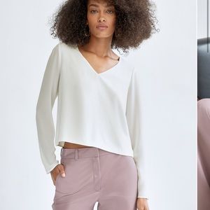 Aritzia Babaton Murphy Blouse